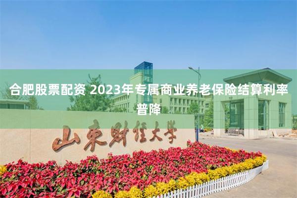 合肥股票配资 2023年专属商业养老保险结算利率普降