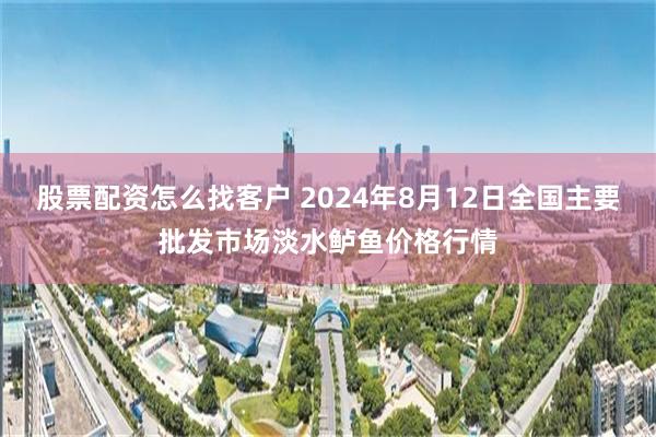 股票配资怎么找客户 2024年8月12日全国主要批发市场淡水鲈鱼价格行情