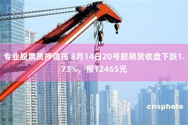 专业股票质押信托 8月14日20号胶期货收盘下跌1.73%，报12465元