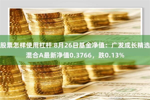 股票怎样使用杠杆 8月26日基金净值：广发成长精选混合A最新净值0.3766，跌0.13%