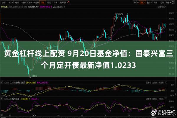 黄金杠杆线上配资 9月20日基金净值：国泰兴富三个月定开债最新净值1.0233