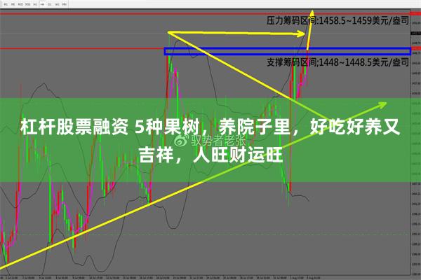 杠杆股票融资 5种果树，养院子里，好吃好养又吉祥，人旺财运旺