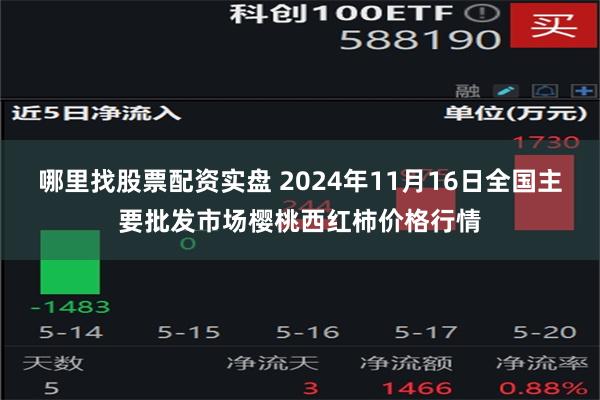 哪里找股票配资实盘 2024年11月16日全国主要批发市场樱桃西红柿价格行情