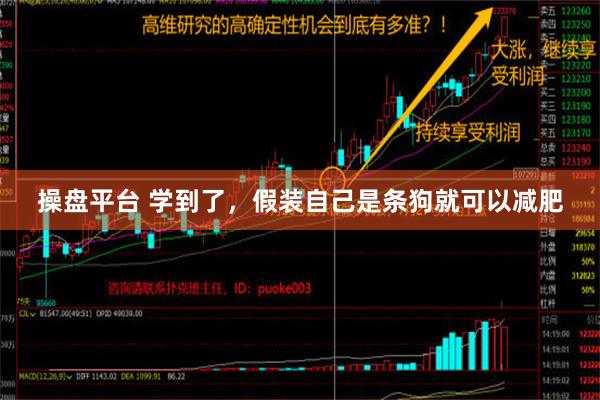 操盘平台 学到了，假装自己是条狗就可以减肥