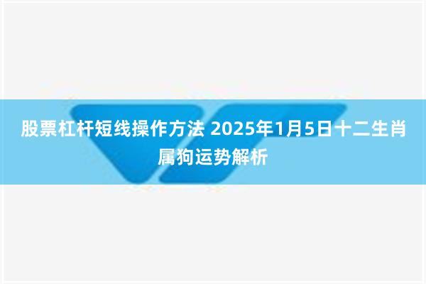 股票杠杆短线操作方法 2025年1月5日十二生肖属狗运势解析