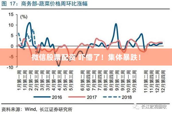 微信股票配资 吓懵了！集体暴跌！